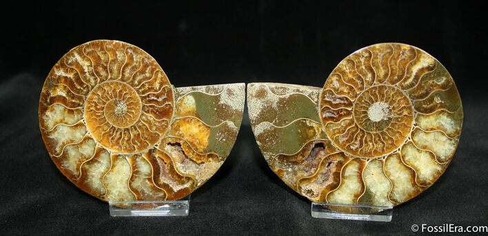 Inch Polished Pair From Madagascar #1447